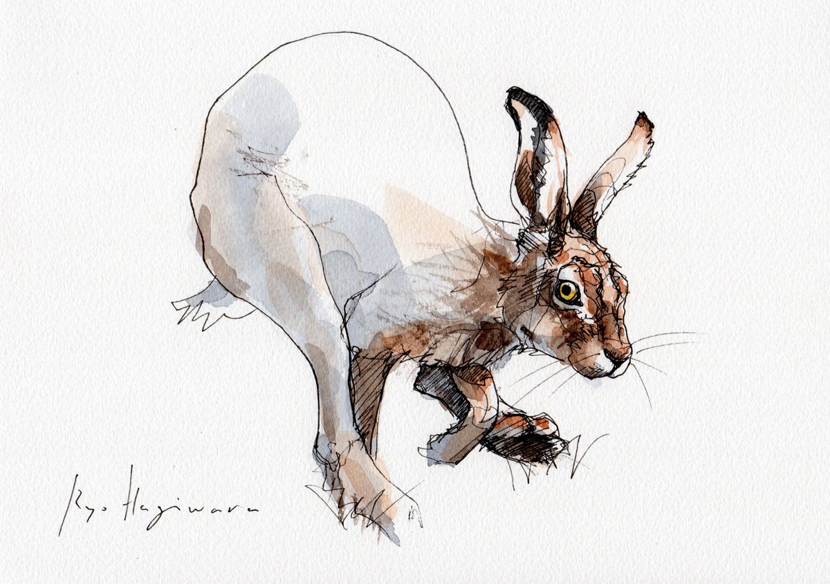 萩原 亮 HAGIWARA Ryo tweet media