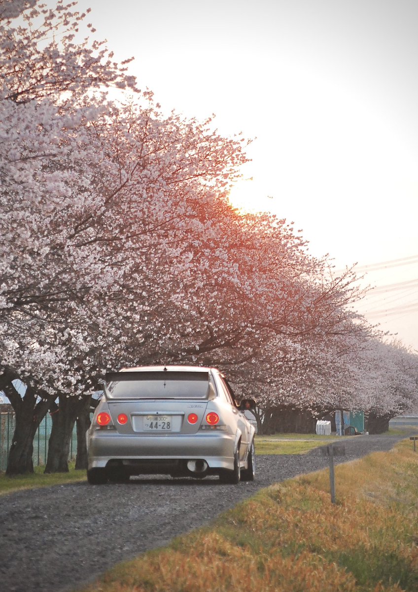 おかず tweet media