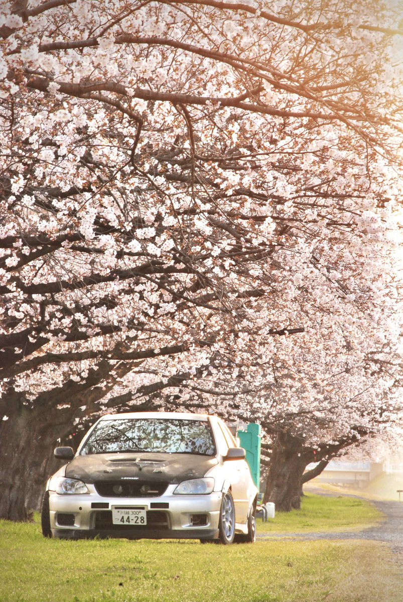 おかず tweet media