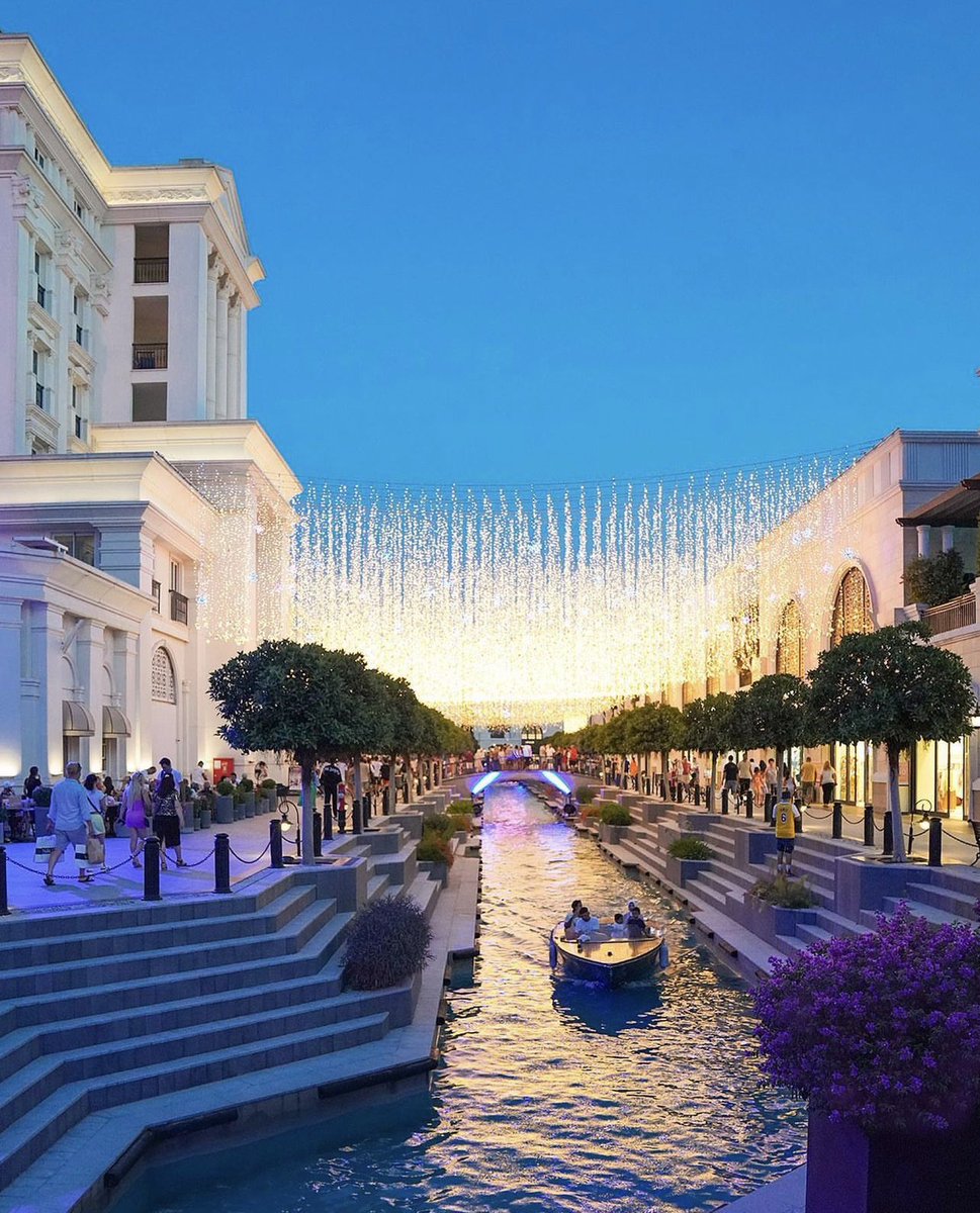 فواز الشلاحي tweet media