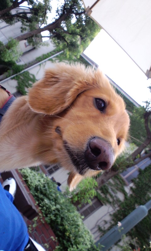 りんパパ2022NUEVO tweet media