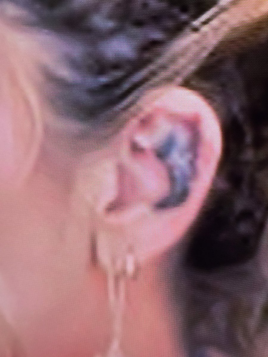 Brett Manders tweet media