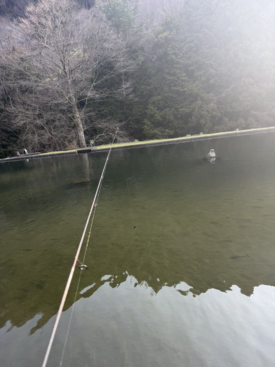 HAM(ハム)@愛知しぶいん tweet media