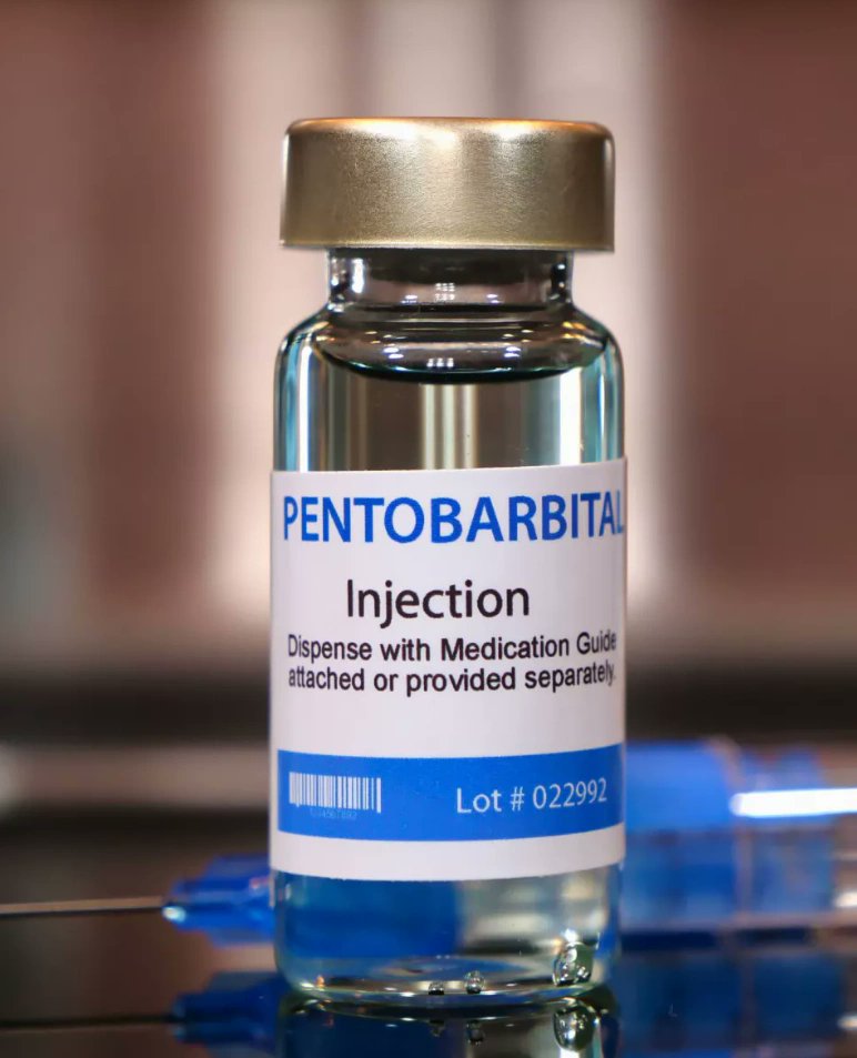 WebDPN's tweet image. Pentobarbital Sodium Is Used to End Suffering — and Also to Execute People. The Debate Is Getting Louder. deathpenaltynews.blogspot.com/2026/03/pentob… #arizona #deathpenalty #pentobarbital