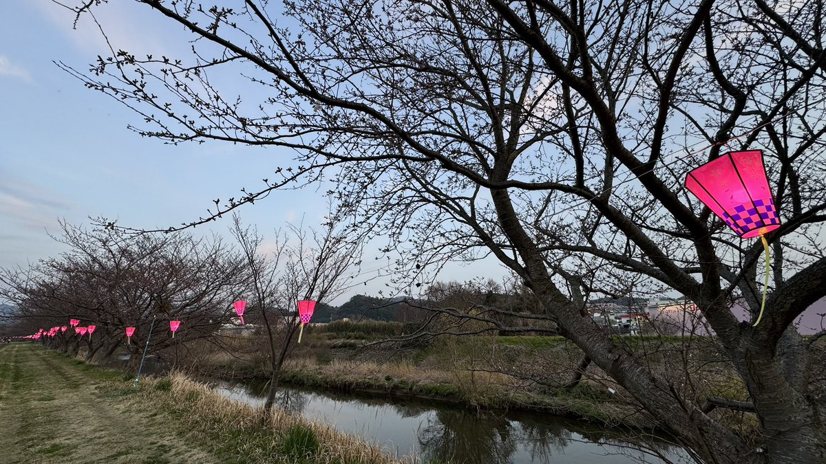 花火会場到着
花火はここから上がるのかな？