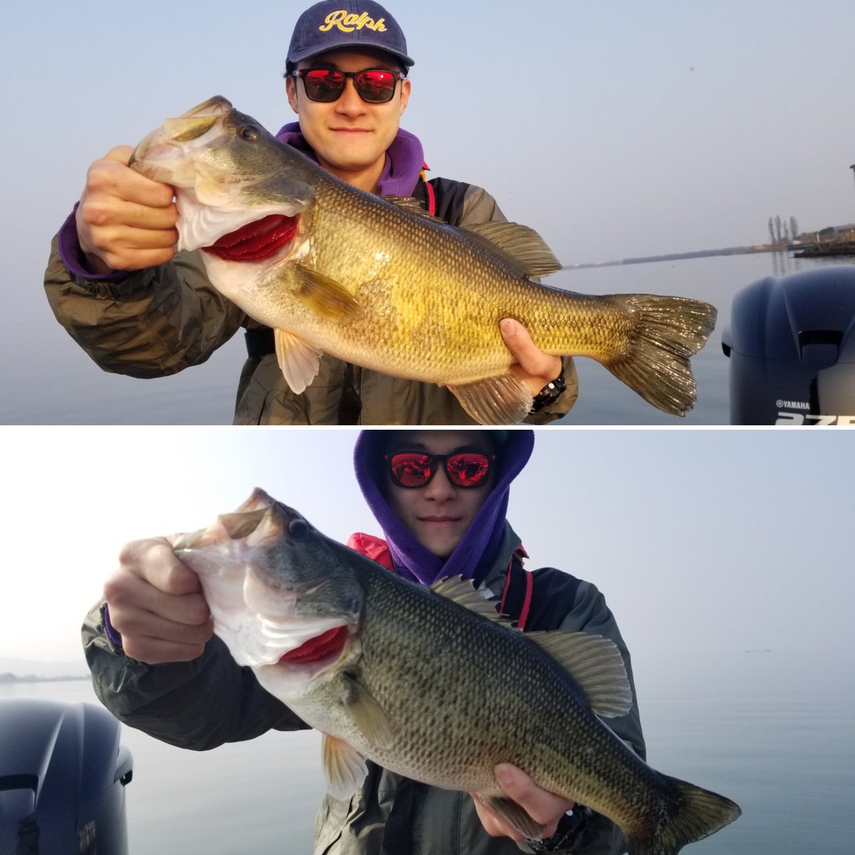 Lunker Assist tweet media