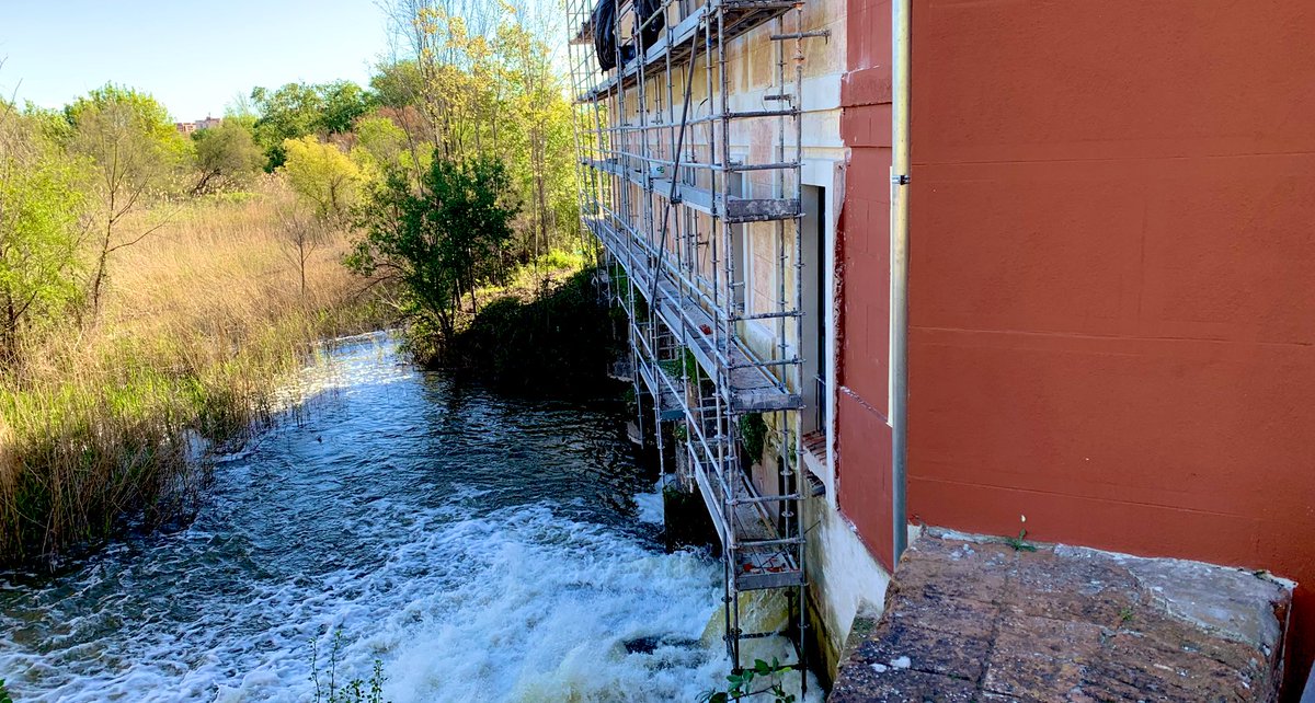 Javier Alonso tweet media