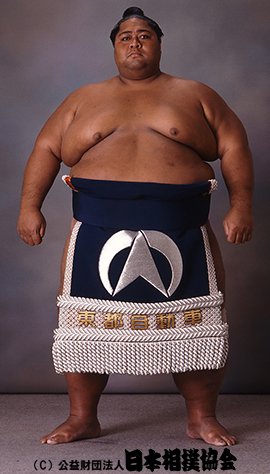 ブルートレイン🚂💨(-ω-ゞ tweet media