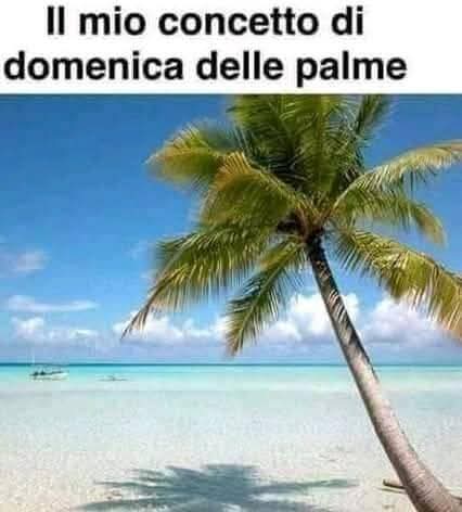 Frank Dedo (@frankdedo64) on Twitter photo 