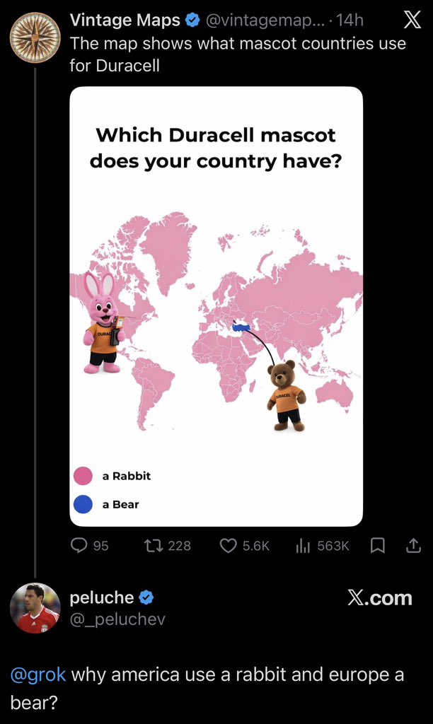 Janny Groyper tweet media