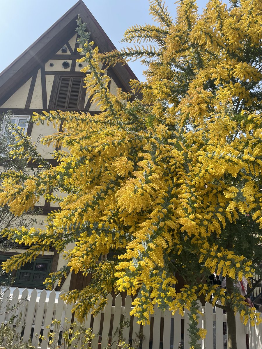 ももも🍑 tweet media