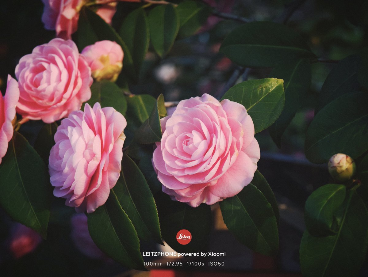 タクヲ tweet media