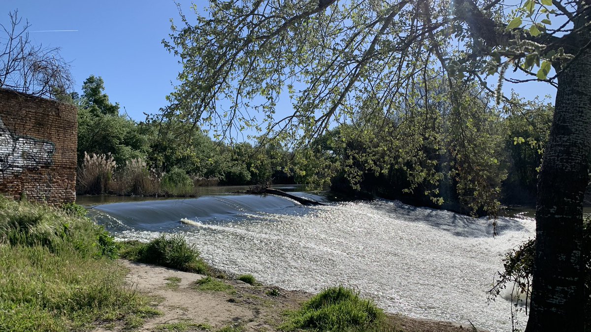 Javier Alonso tweet media