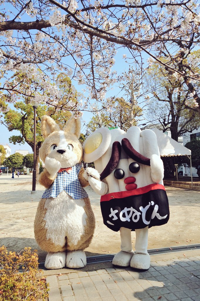 🌳fogforest🌲 tweet media