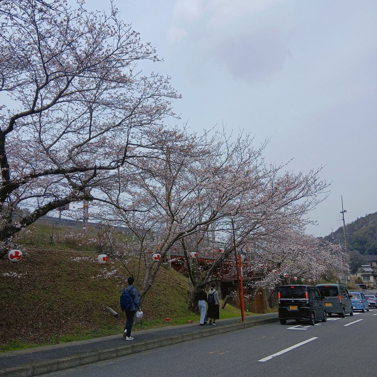 桜祭り出店終了して帰って来ました～☺
思ってたより沢山の子供さんとプラモ作れて楽しかった～☺

でもちょっと疲れちゃった💦

片付けやらで結構時間かかっちゃったので本日のお店営業は断念いたします🙏

晩からカフェに寄ろうと思ってたお客様ごめんなさい😞💦