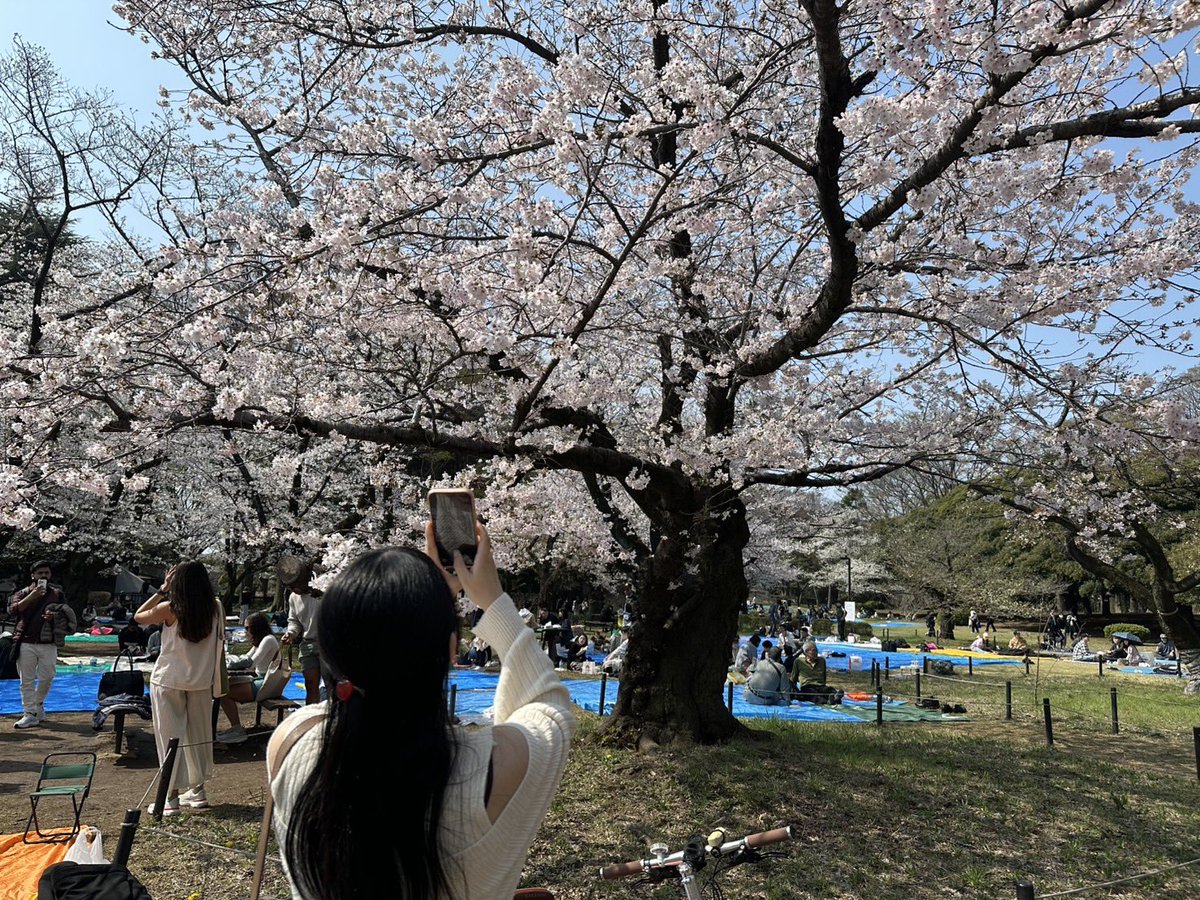 🦠🧬shiho🧬🦠 tweet media