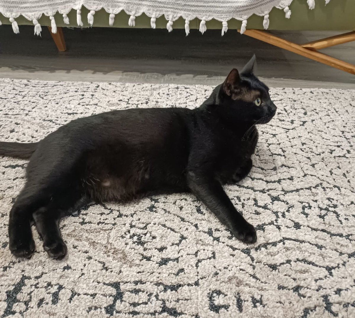 Kliseröl tweet media