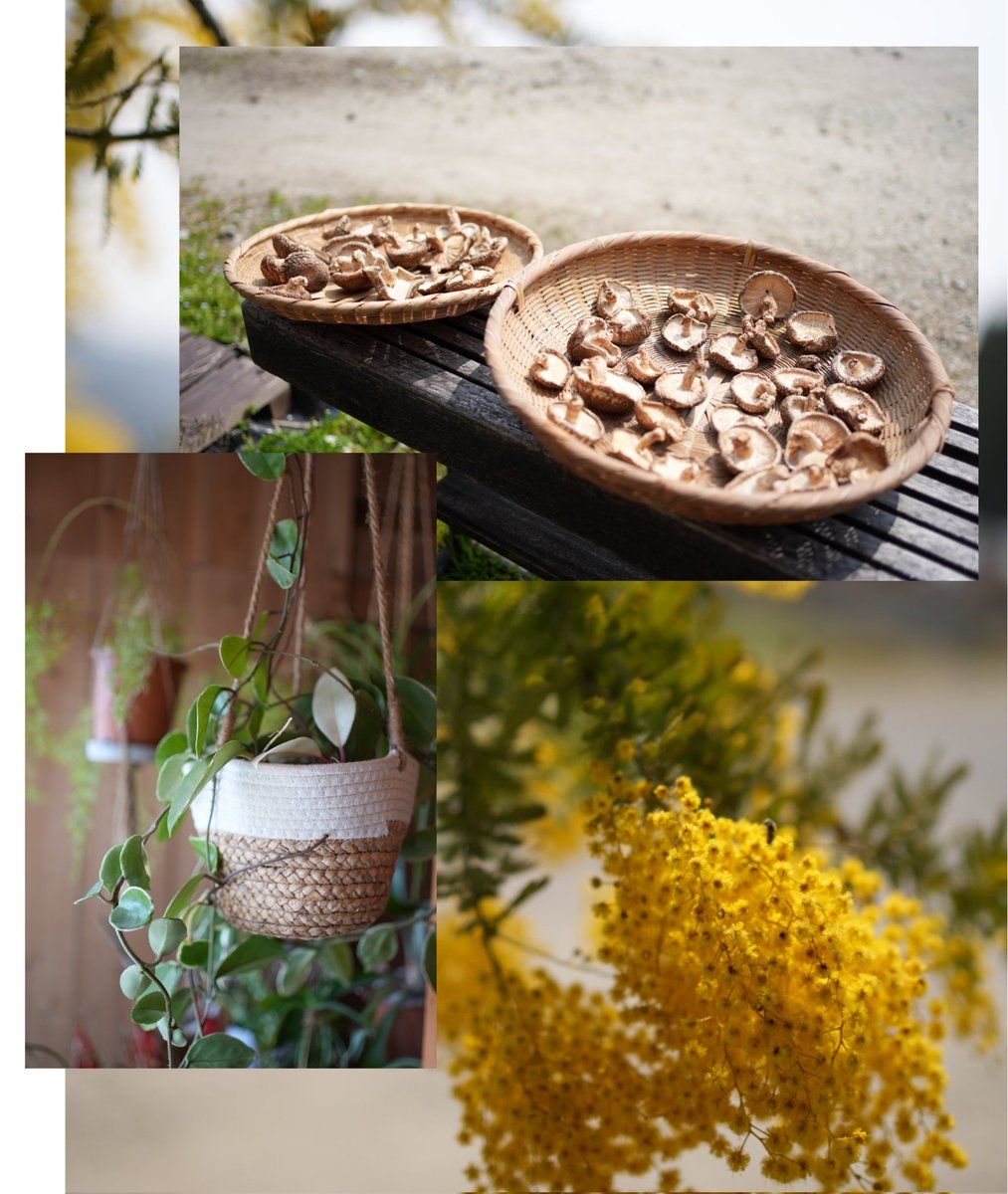 あーちゃん🐤 tweet media