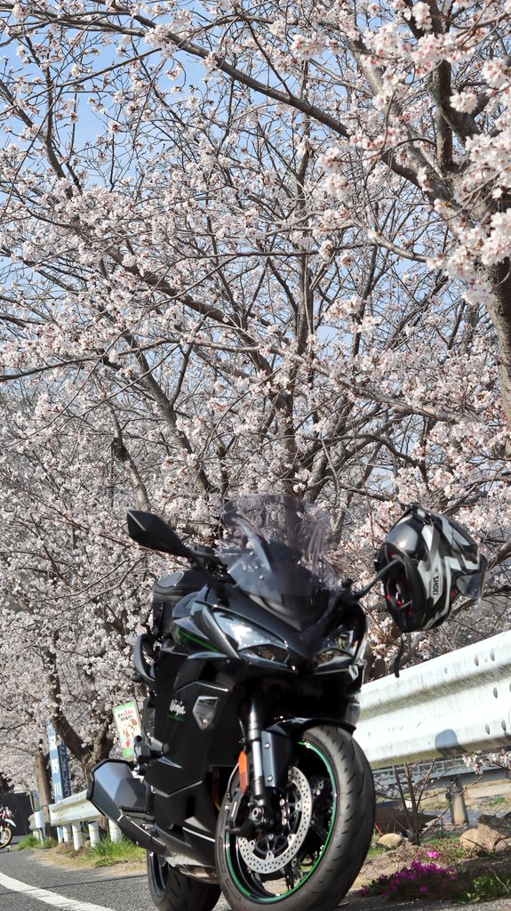 kazukazu tweet media