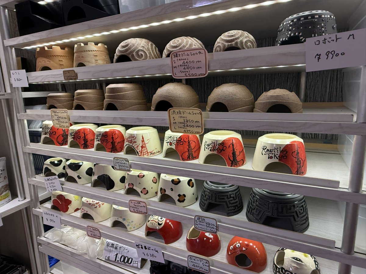 REPTILES TOKYO名古屋店 tweet media