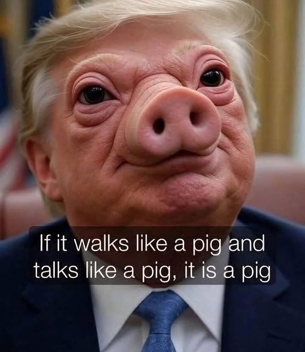 brybrybarou's tweet photo. Yup https://t.co/tD6YHqRZiy