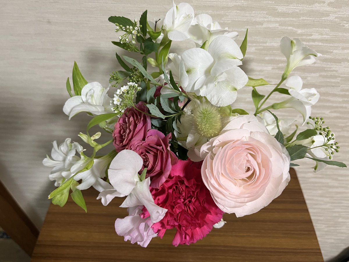 macoco🌞🌏 tweet media