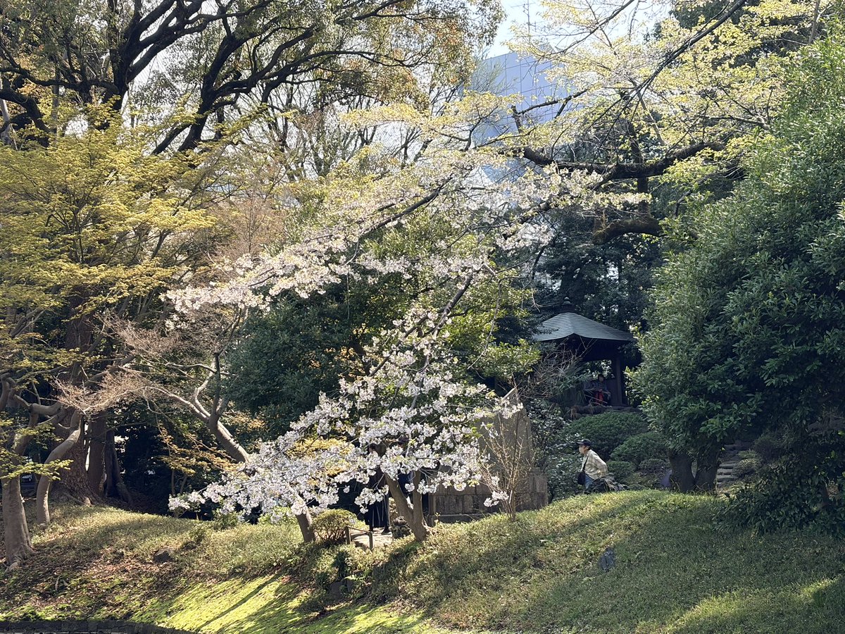 TakedaTakeo tweet media