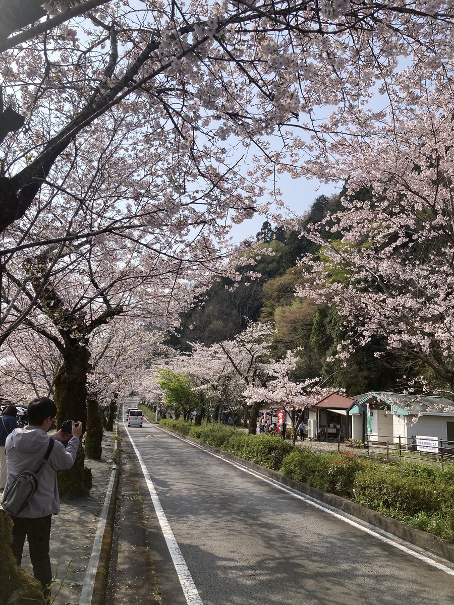 com3921's tweet photo. 皆さん、お疲れ様でした。
久しぶりの投稿です。近くの家山桜トンネルまで日中プチツーして来ました。桜🌸で大変混んでました。 https://t.co/pF4gENHhRT