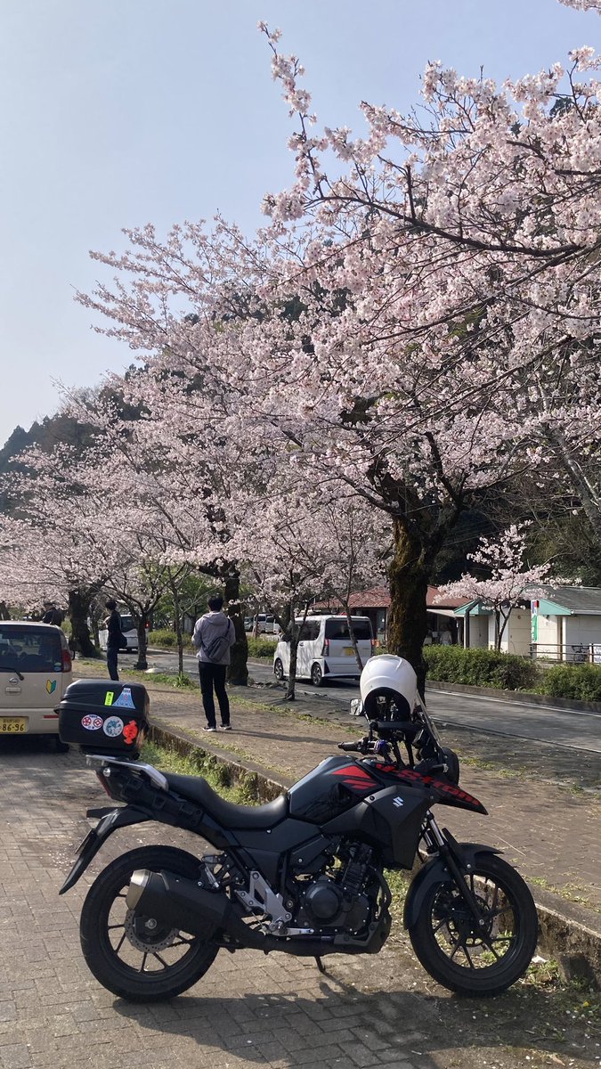 com3921's tweet photo. 皆さん、お疲れ様でした。
久しぶりの投稿です。近くの家山桜トンネルまで日中プチツーして来ました。桜🌸で大変混んでました。 https://t.co/pF4gENHhRT