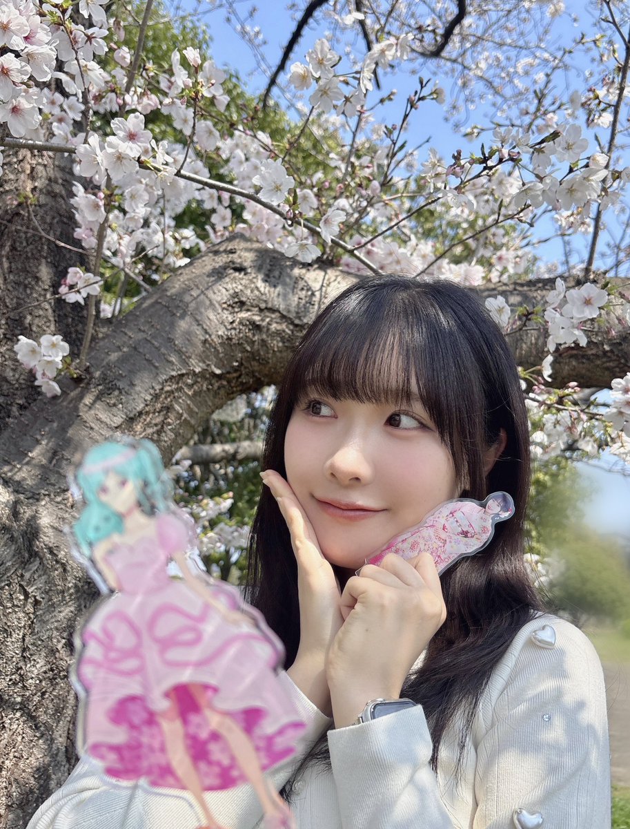 坂倉 花(さかくら さくら) tweet media