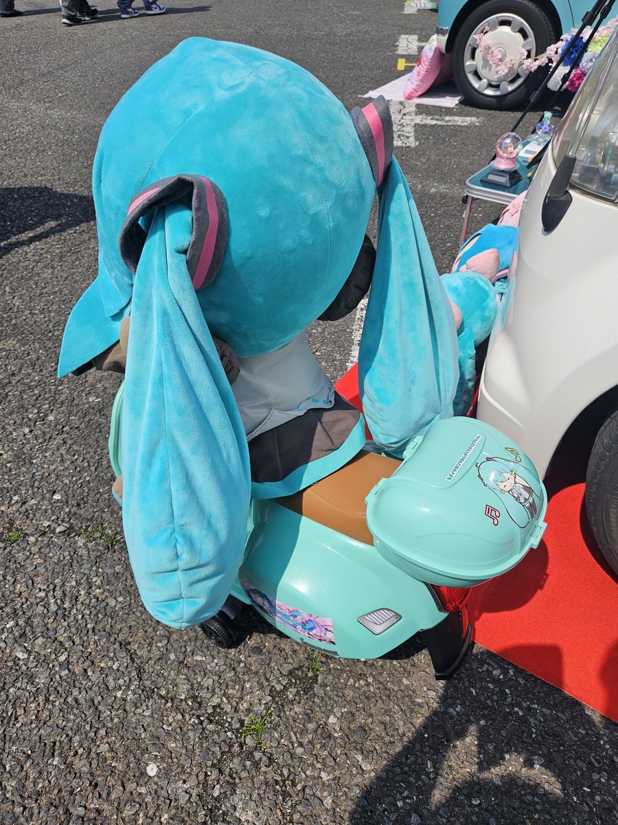 やすべー 🎣🦍 tweet media