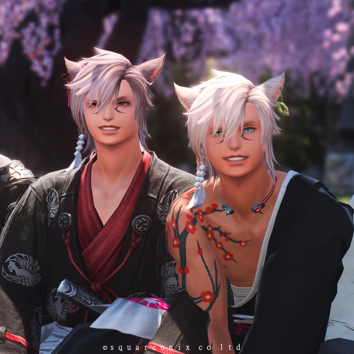 ザップ tweet media