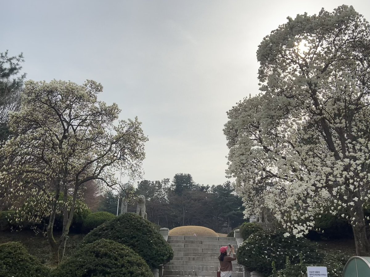 Lara🇰🇷 🇺🇸 🇯🇵 tweet media