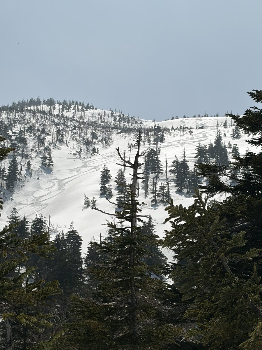 masatoshi tweet media