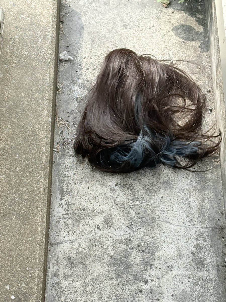 ちゅー🐭🐈🐶🐾読書と投資で資産雪だるま tweet media