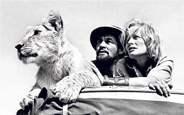 Will Travers tweet media