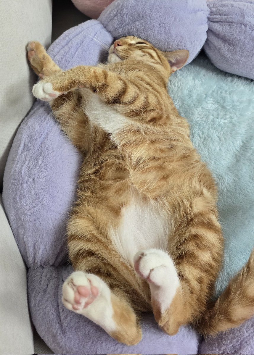 이율🎀 tweet media