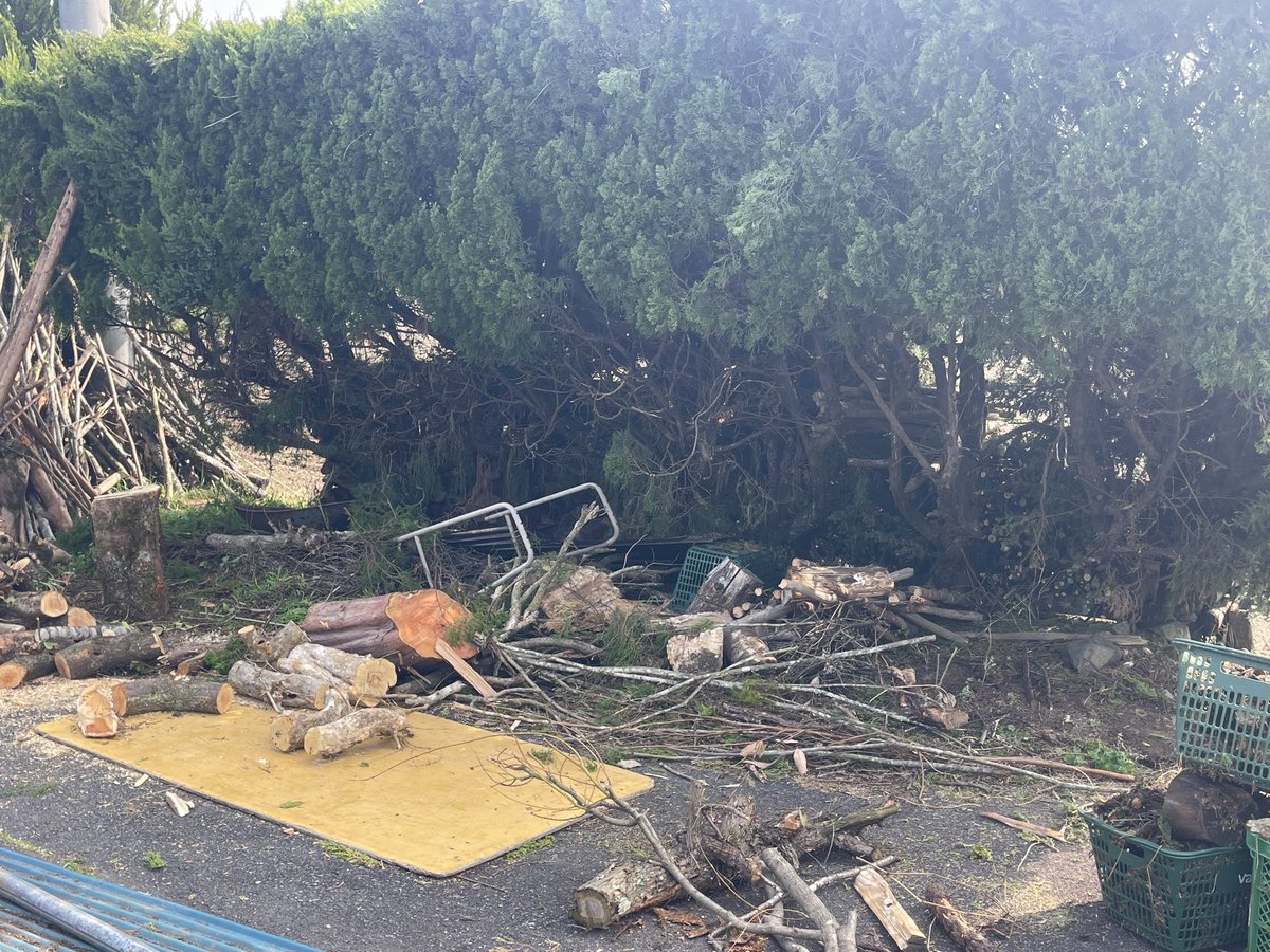 @きらTV tweet media