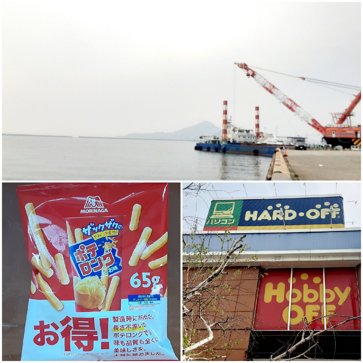 にゃんこ先生 tweet media