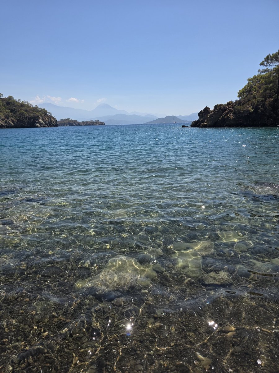 GalataHanedanı tweet media