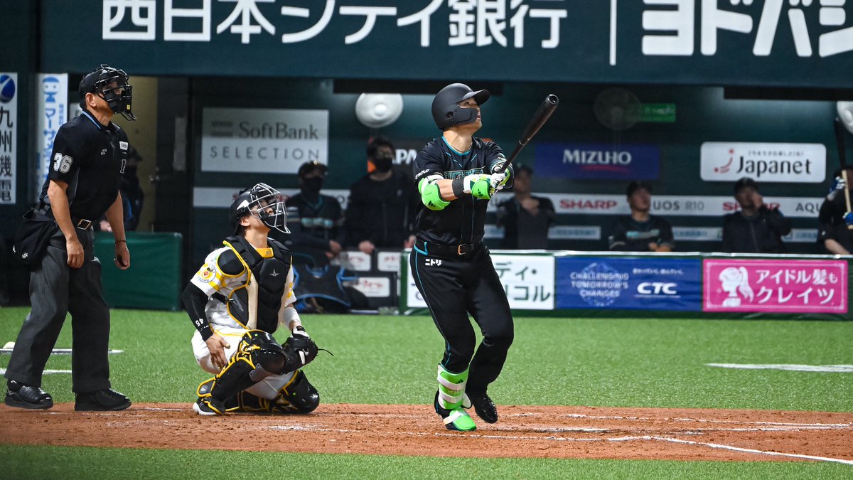 ﾔﾏﾌｫﾄ tweet media