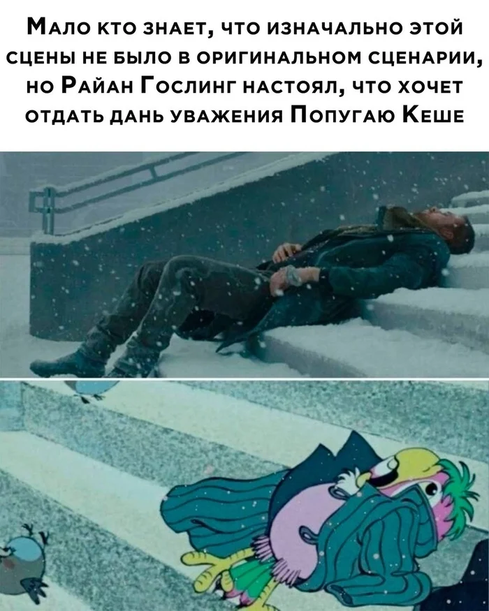 Заумный поварюга 🍳🍳🍳 tweet media