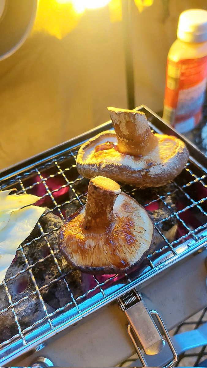 セロリ tweet media