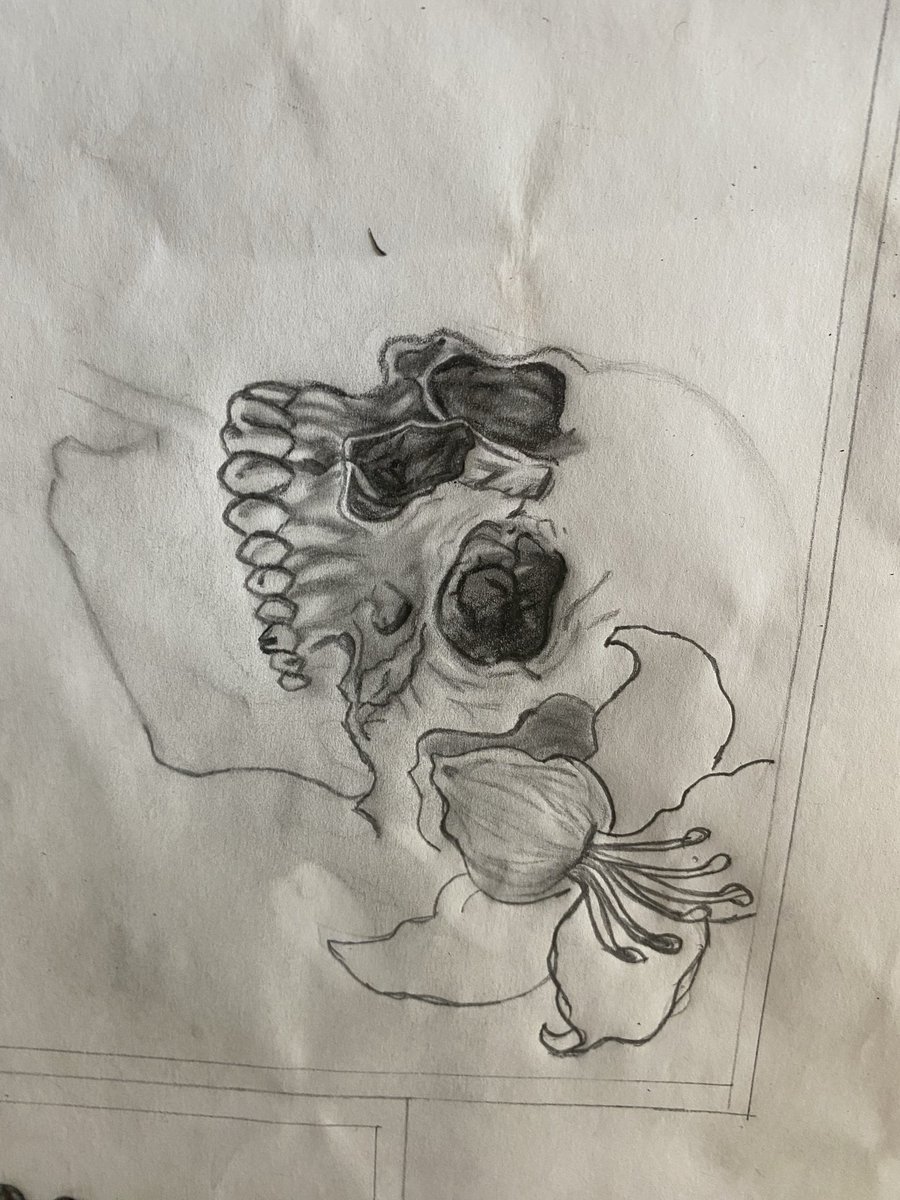 hanita_xoxo02's tweet photo. New piece ✏️ https://t.co/yC5VsslxS4