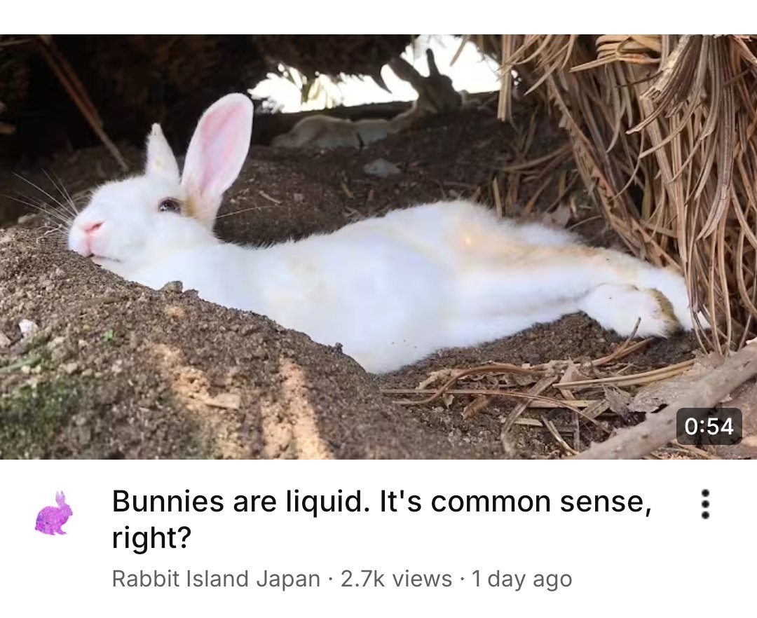 angelbun ૮ ˶ᵔ ᵕ ᵔ˶ ა Θ∆ 🏳️⚧️ tweet media