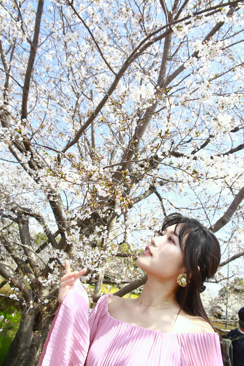 ニース愛 tweet media