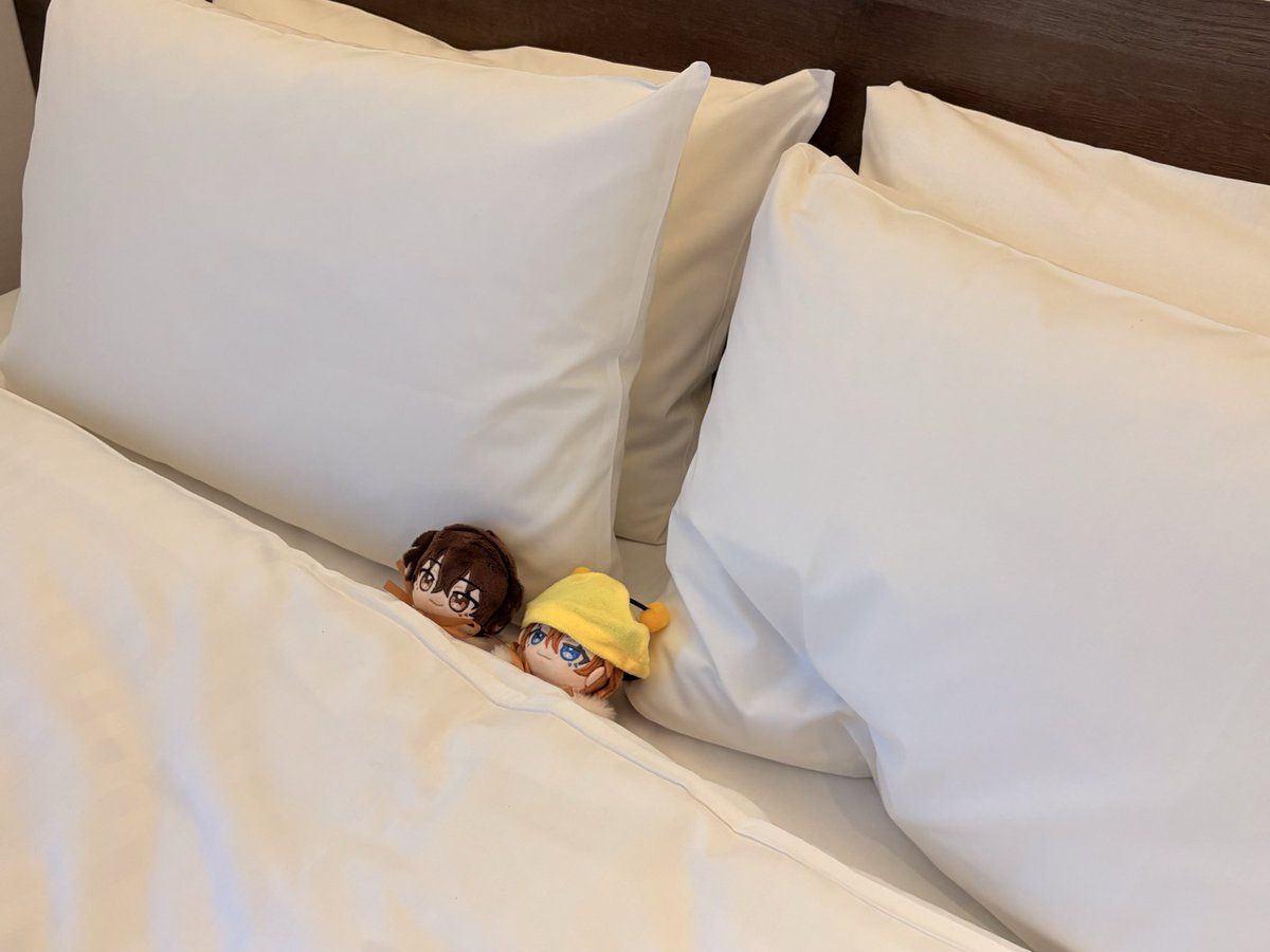 フラッペ tweet media