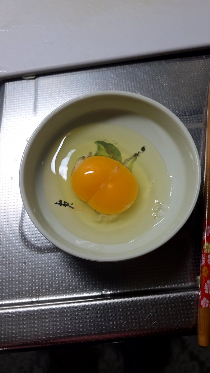 🐰柑橘系みかん犬🍊 tweet media