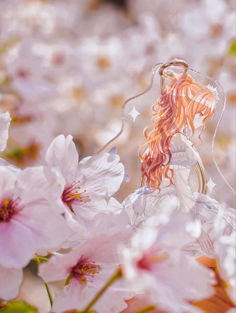 Yuki_saechigo's tweet photo. 礎の花冠　sakura ver.

#バンドリ 
#roselia 
#さくら https://t.co/RBljKf7Fl8
