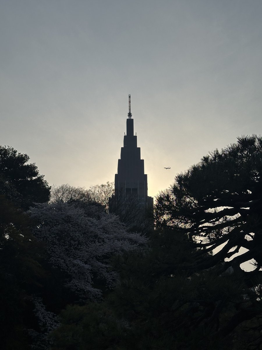 Dr. ヤクス子ちゃん 👁️ ЯКУСУКОТЯН tweet media